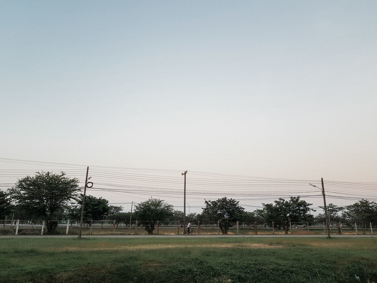 TREES ON FIELD AGAINST SKY