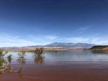 Scenic view of lake against blue sky