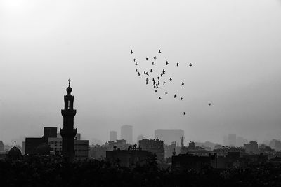 Birds flying over city against sky