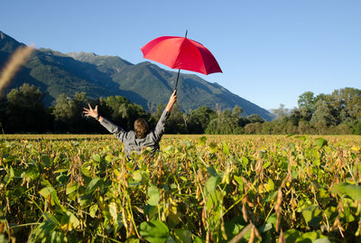 Rear view of man holding umbrella while standing at farm