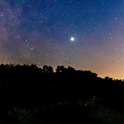 Silhouette trees against sky at night