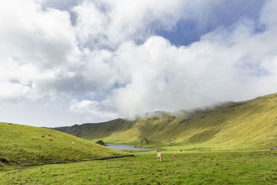 Scenic view of landscape against cloudy sky