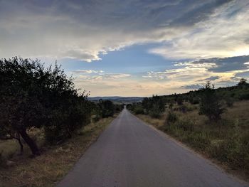 Empty road along plants and trees against sky