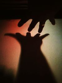 Shadow of man on wall