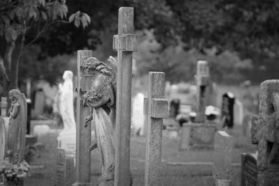 Close-up of cemetery