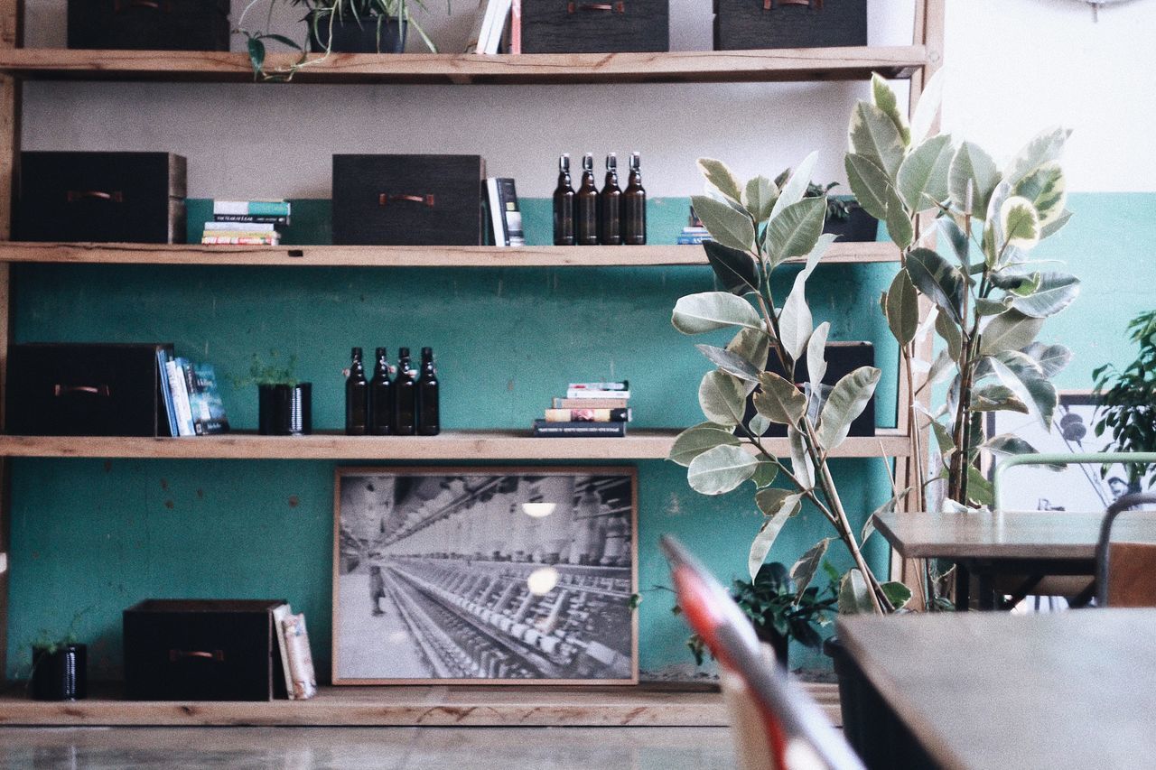 shelf, plant, indoors, potted plant, no people, table, nature, built structure, architecture, day, home interior, window, furniture, vase, glass - material, growth, water, wood - material, glass, houseplant, luxury