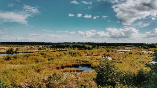 Scenic view of landscape against sky