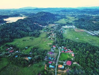 High angle view of trees on landscape against sky