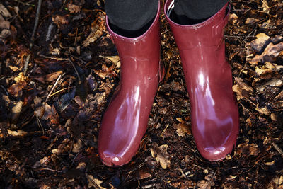 Low section of person wearing shoes walking on field