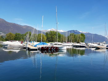 Sailboats moored at harbor