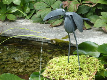 Close-up of bird perching on plant