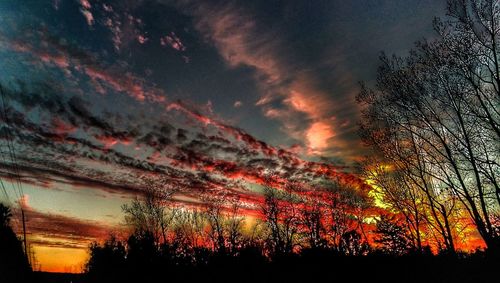 Silhouette trees against sky at sunset