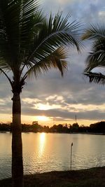 Silhouette palm trees by lake against sky during sunset