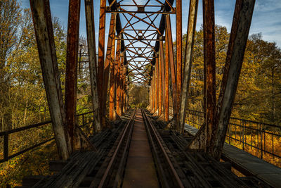 Railroad tracks among trees in the autumn forest