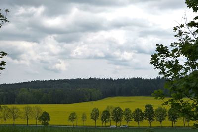 Scenic view of field against cloudy sky