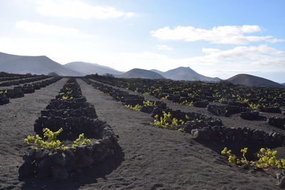 Lanzarote, canary island 