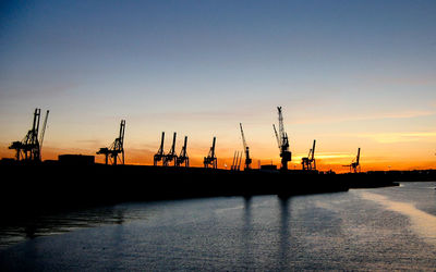 Cranes at sunset