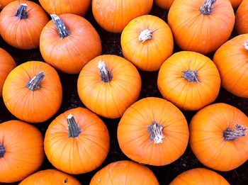 Full frame shot of pumpkins at market