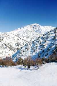 Tian shan mountain system in uzbekistan. winter landscape in the ski resort beldersay