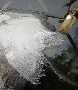 Close-up of water flowing in container