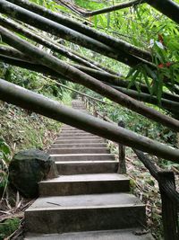 Close-up of steps in forest