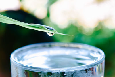 Close-up of water drops on glass