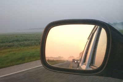 Reflection of trees in side-view mirror