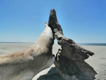 Driftwood on beach against clear sky