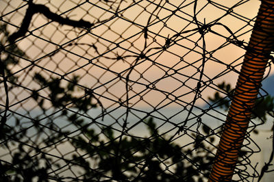 Close-up of barbed wire