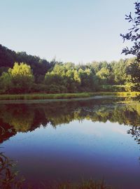 Reflection of trees in calm lake