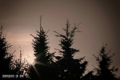 Silhouette trees against sky during sunset