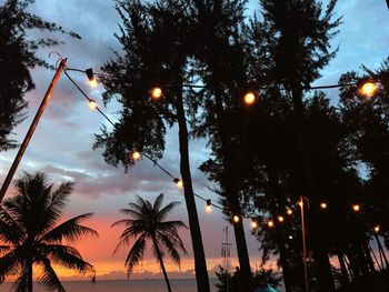 Palm trees on beach against sky during sunset