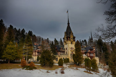 Panoramic view of trees and buildings against sky