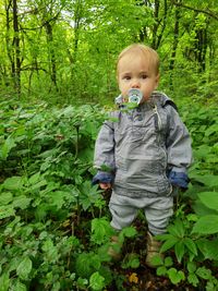 Portrait of cute baby boy standing amidst plants