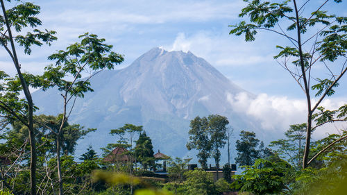 Panoramic view of trees and mountains against sky