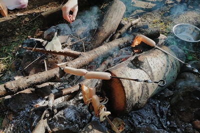 Low section of people relaxing on log