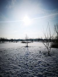 Scenic view of lake against sky during winter