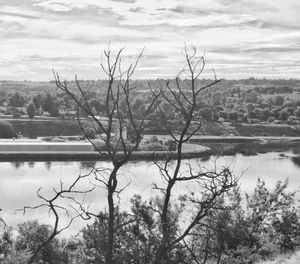Bare trees by lake against sky