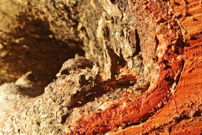 Close-up of rock formation