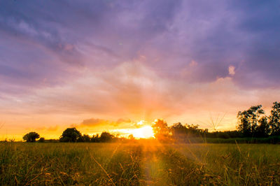 Scenic view of field against sky during sunset