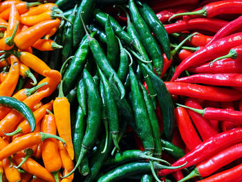 vegetable
