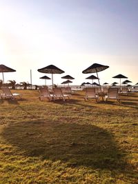 Beach umbrellas on field against sky