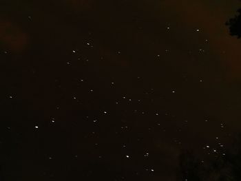 Low angle view of star field against sky at night