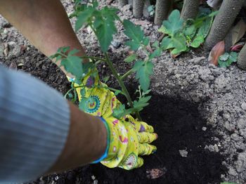 Low section of people on plant