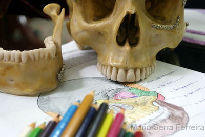 Close-up of pencil on table