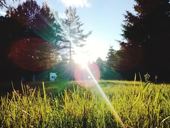 Scenic view of field against bright sun