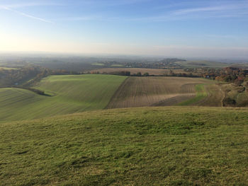 Scenic view of agricultural field against sky