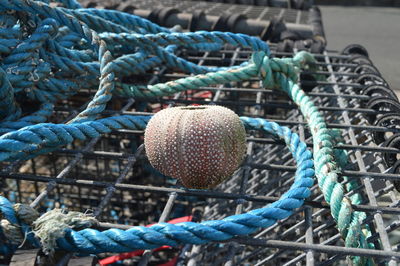 Close-up of fishing net at harbor