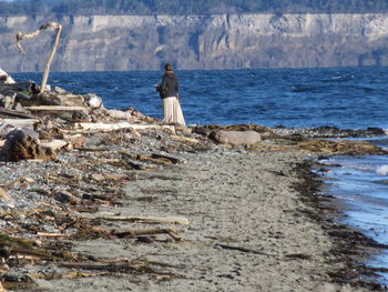 Horse standing on rock at beach against sky