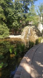 Footpath by trees in park